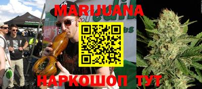 гидра Гагарин