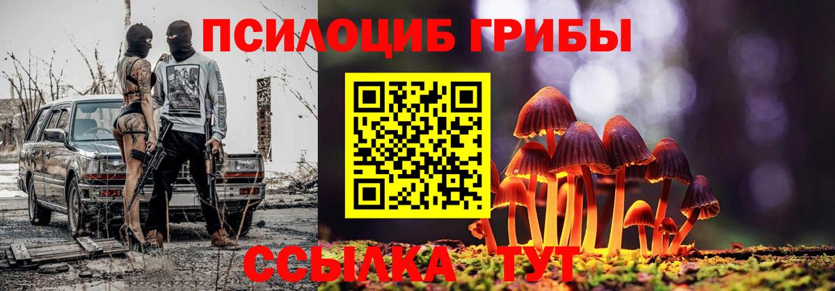 Псилоцибиновые грибы Psilocybine cubensis  Вход с VPN  Мирный 